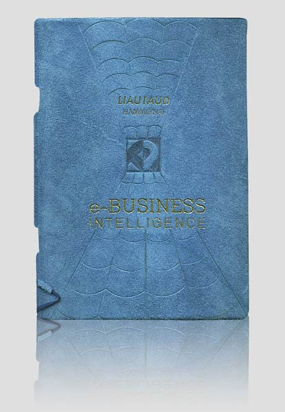 e-Business Inteligence