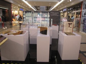 Ekskluzywna książka artystyczna